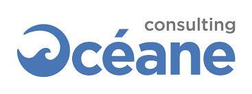 Oceane Consulting IT Maroc