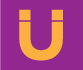 Virtuoz Purple