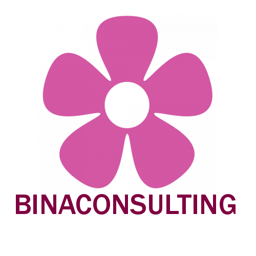 Bina Consulting