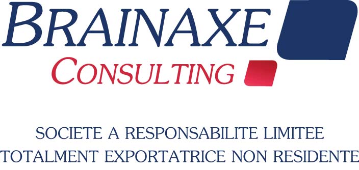 ste brainaxe consulting
