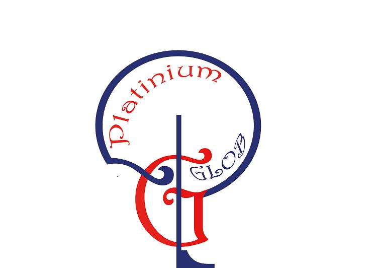 PLATINIUM GLOB SARL
