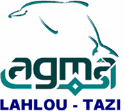 Assurance AGMA LAHLOU TAZI