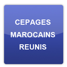 Groupe des Brasseries du Maroc