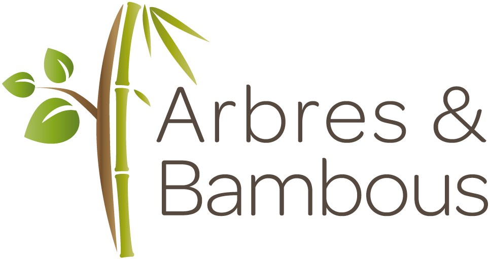 Arbres et Bambous 