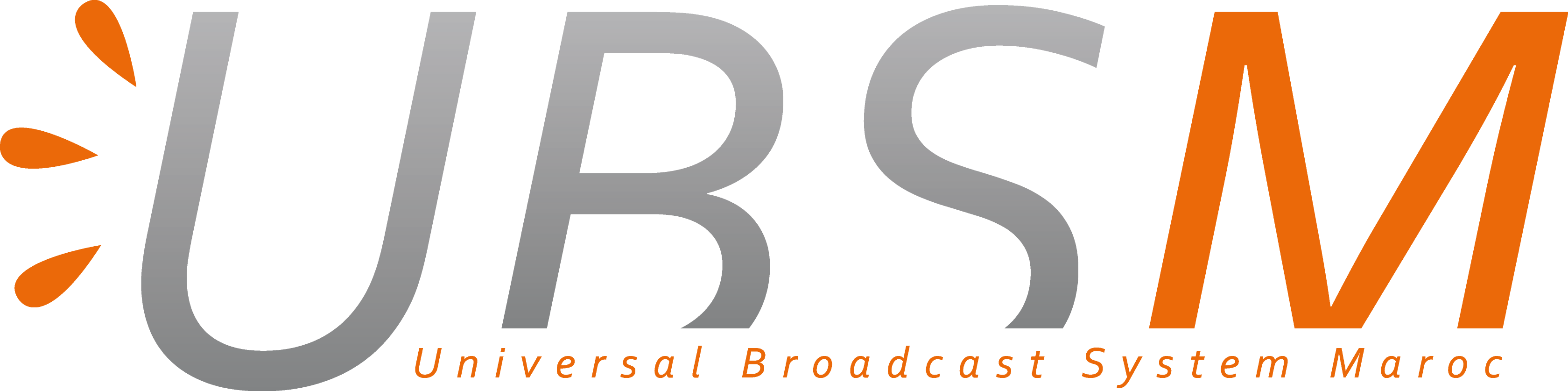 UBSM
