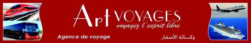 Art Voyages