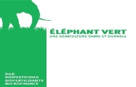 Eléphant Vert SA