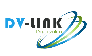 DV Link