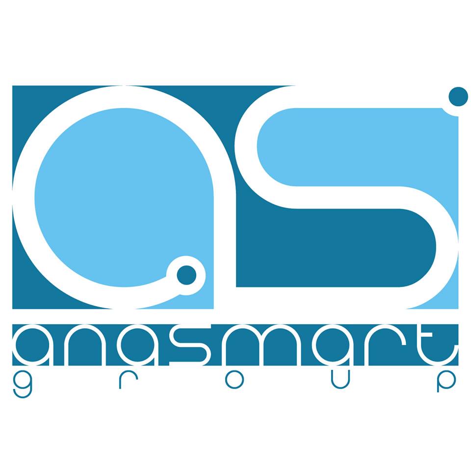 ANASMART GROUP