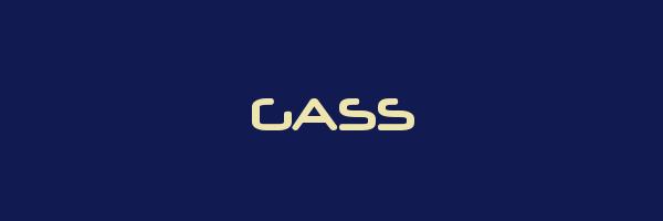 Gass Trial Holding