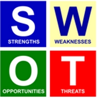 swot company