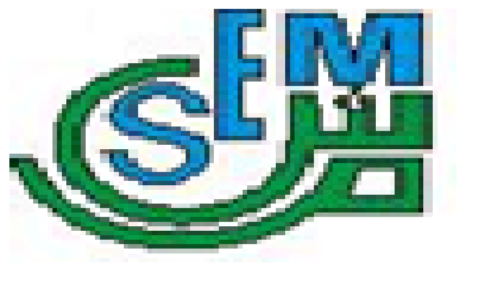 société ELMASSAOUDY