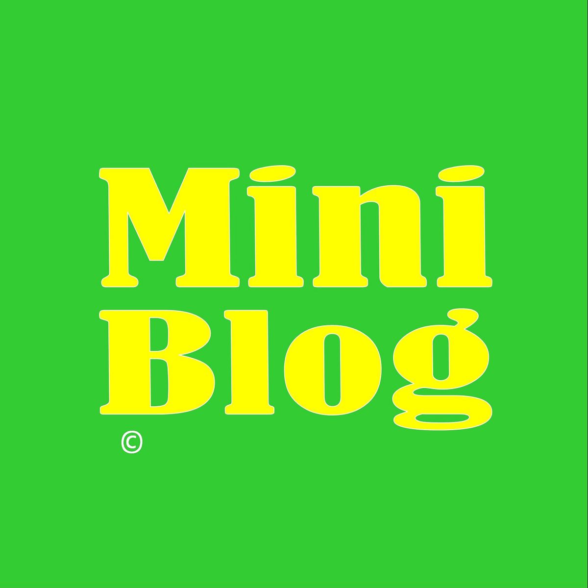 Mini Blog