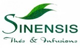 SINENSIS 