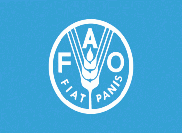 FAO Representation in Morocco