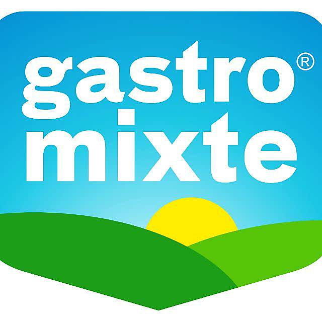 Gastromixte sarl