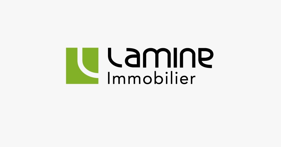 Lamine Immobilier 