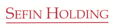 Sefin Holding